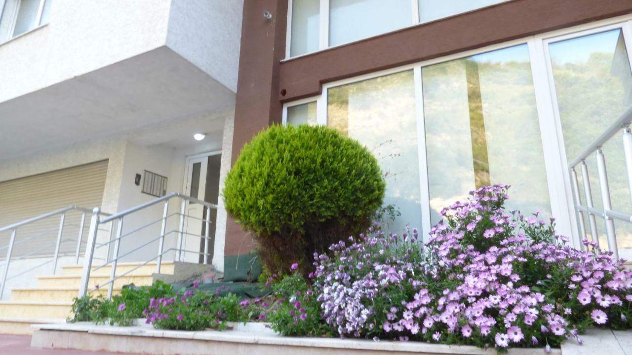 Duplex Apartment